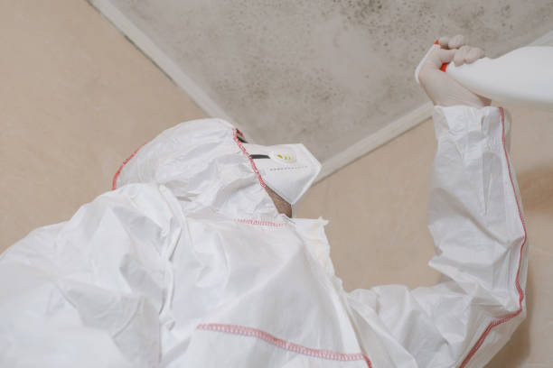 Marist College, NY Mold Remediation Company